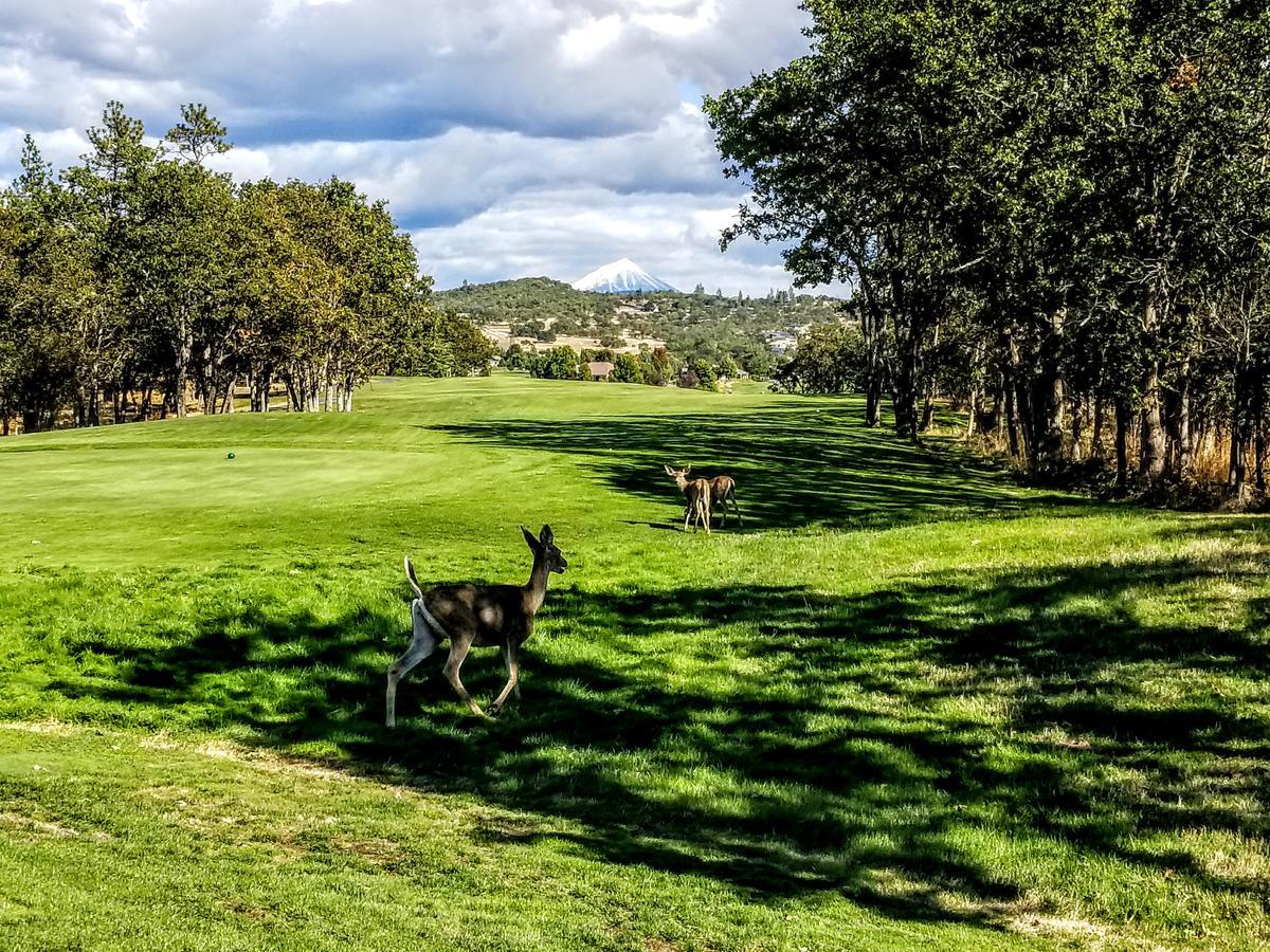 Resort At Eagle Point Golf Club Lodging 外观 照片