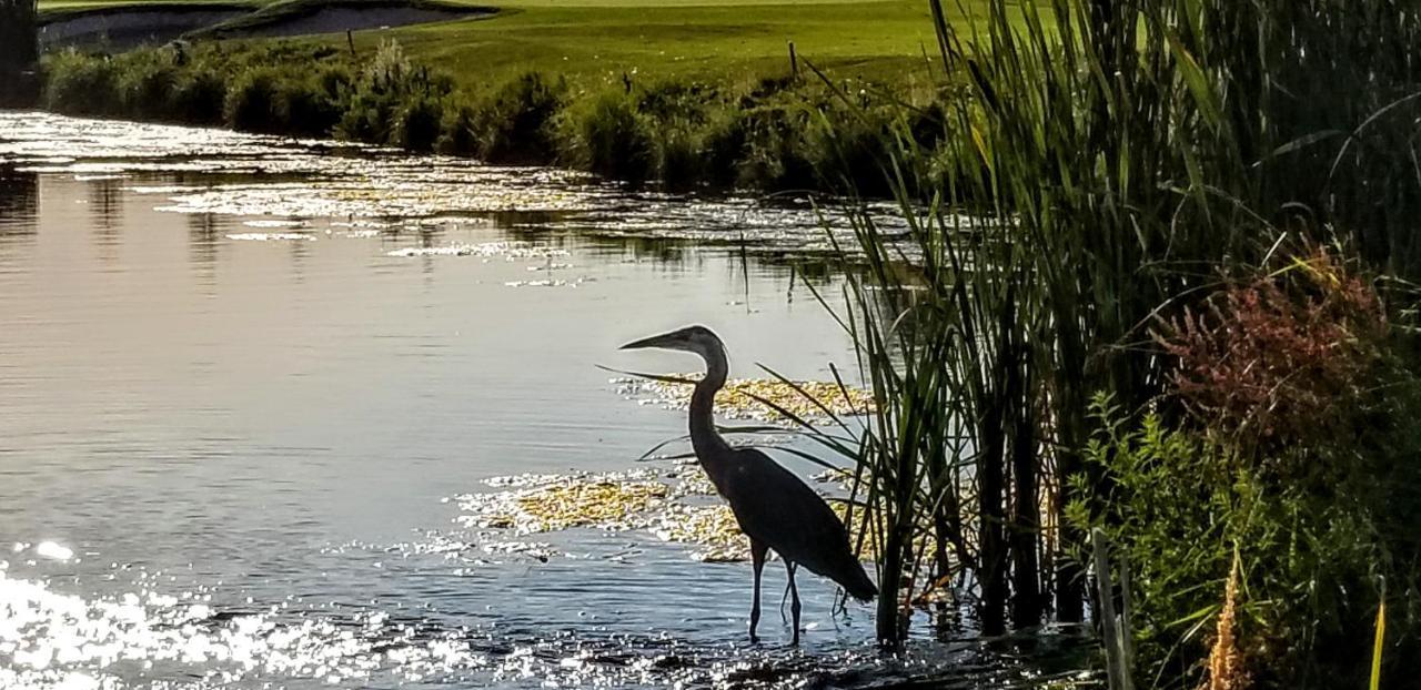 Resort At Eagle Point Golf Club Lodging 外观 照片